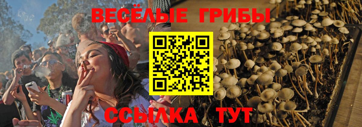 Псилоцибиновые грибы GOLDEN TEACHER Ялуторовск