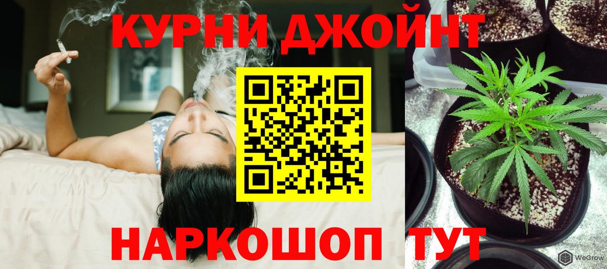 Ялуторовск  Конопля конопля  Каннабис LSD WEED  Марихуана сатива  Вход с VPN 
